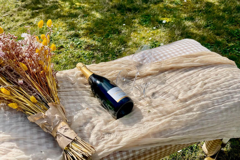 ¡Comida campestre y degustación de champán en la Côte des Bar!