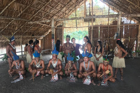 Manaus: Rio Negro and Solimões Tour Manaus: Rio Negro and Solimões River Tour