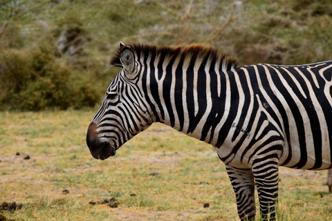 Viaggio di due giorni al Lago Manyara con canoa e passerella tra le cime degli alberiCampeggio a Karatu