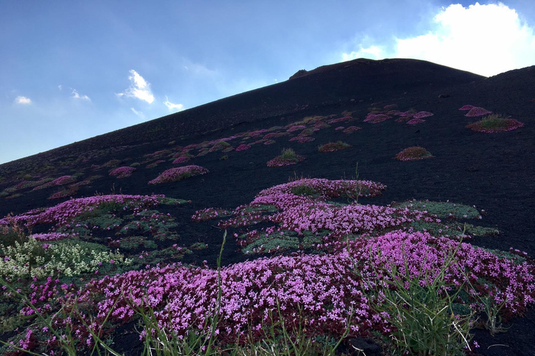 Mt. Etna: Morning 4x4 Tour with Volcanic Cave and Traditional Tasting