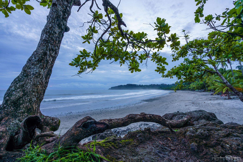 Manuel Antonio: Surfles voor iedereen - Costa Rica