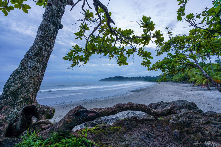 Manuel Antonio: Clases de surf para todos - Costa Rica