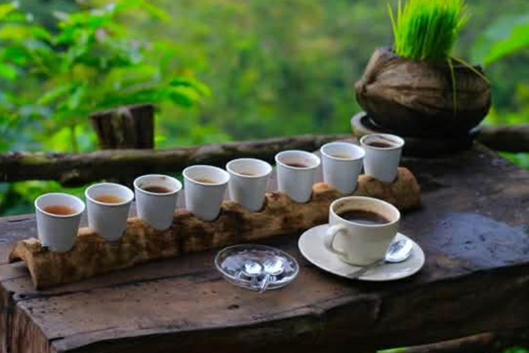 Ubud :Waterfalls, Water Temple & Rice Terrace – Private Tour Ubud: Waterfalls, Rice Terrace water Temple all included