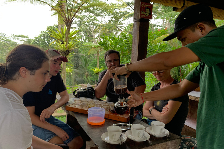 Ubud : Sacred Monkey Forest, Waterfall, Temple & Swing Tour Full-Day Tour Without Entry Fees