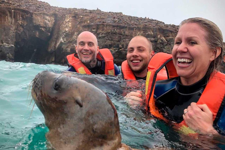 From Lima: Palomino Islands