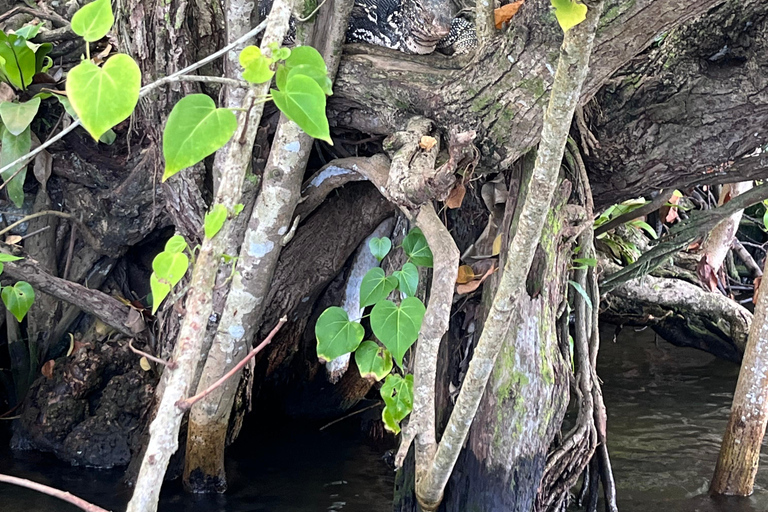 Bentota River Safari with Bazaar from ahungalla