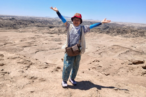 Walvis Bay to Swakopmund Tour: Coastal Gems & Desert Magic