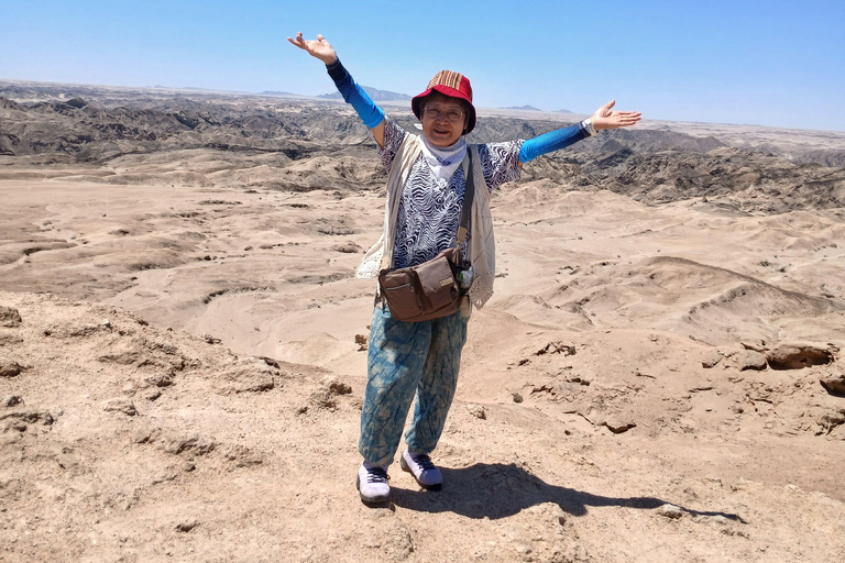 Walvis Bay to Swakopmund Tour: Coastal Gems & Desert Magic