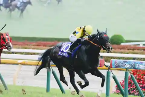 Tokyo: Horse Racing Tour with Local Fan