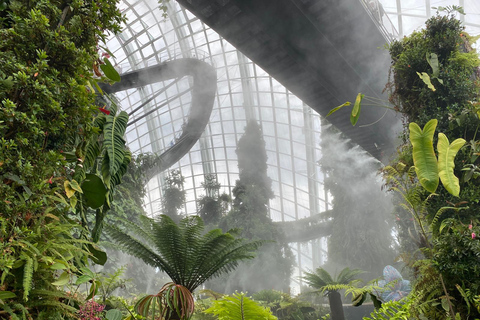 Singapur: Prywatna wycieczka na zamówienie z transportem8-godzinna wycieczka