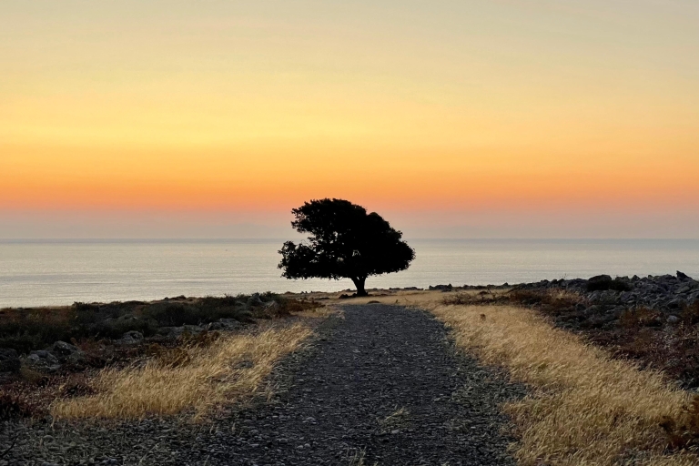 Rhodes: randonnée guidée de la plage de Glystra à Ipseni avec baignadePoint de rencontre