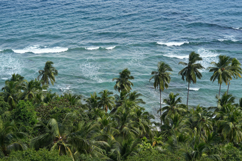St Lucia: Horseback Ride and Pigeon Island Hike with Lunch