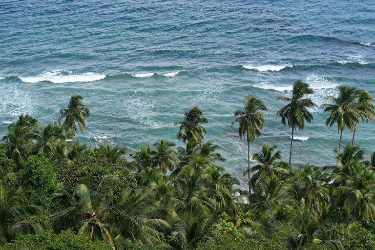 St Lucia: Horseback Ride and Pigeon Island Hike with Lunch