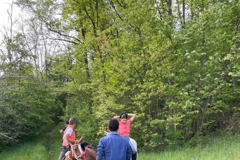 Belgrade: Epic Forest Horseback Riding Tour