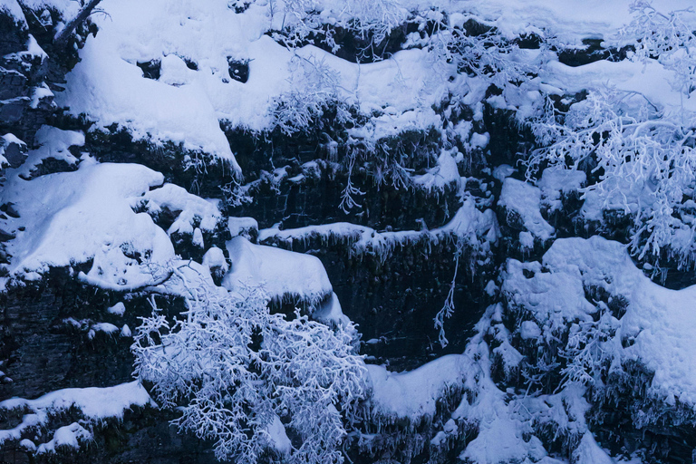 Da Kiruna: esplora Abisko di giorno