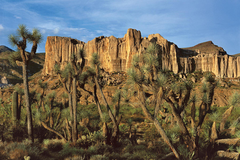 Grand Canyon Hoover Dam and Joshua Tree VIP Small Group Tour