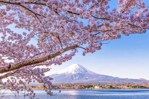 Mt. Fuji,Kawaguchi Lake, Ropeway, Oshino Hakkai, Matcha Trip Tokyo station pick-up 8:00am