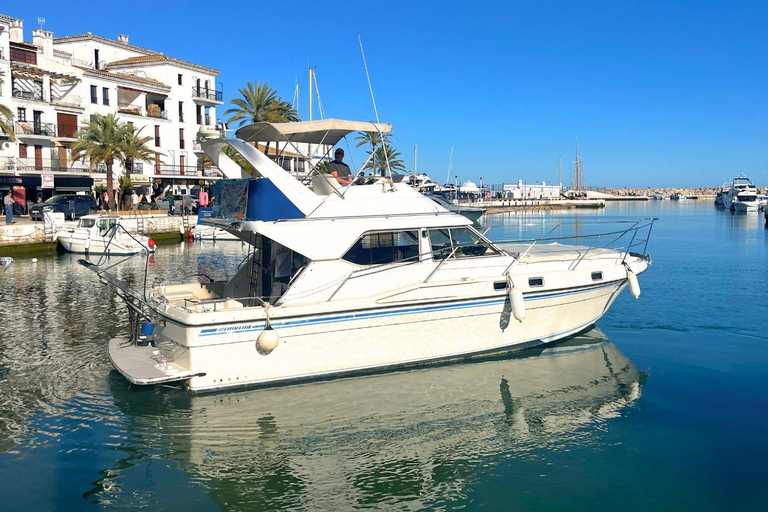 Eco-Dolphin Expedition in La Duquesa: Intimate Sailing and Cava Private Charter with Cava and Intimate Sailing