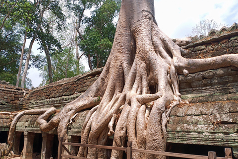 Siem Reap: Jednodniowa wycieczka do Angkor Wat i świątyni Banteay Srei