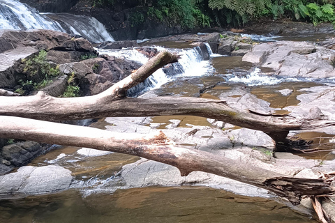 Sinharaja-Regenwald: Tour mit Wanderung zu 5 Wasserfällen