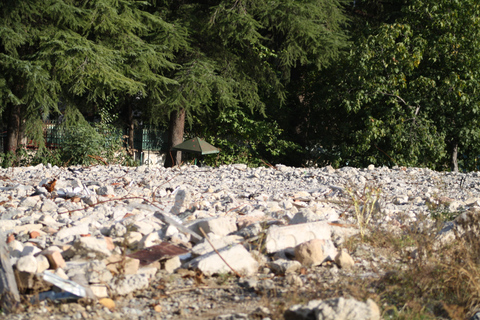 Tbilisi: Soviet Criminal World Walking Tour