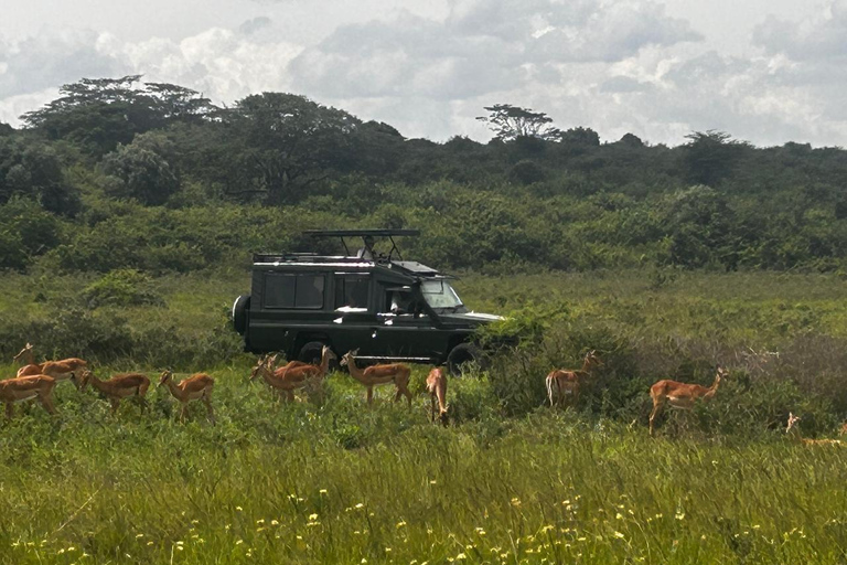 Nairobi Amboseli National Park & Maasai Village 2-Day Trip