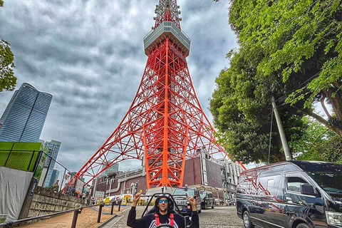 Tokyo: Shibuya & Tokyo Landmarks Guided Drive Tokyo Shibuya Day Drive Experience