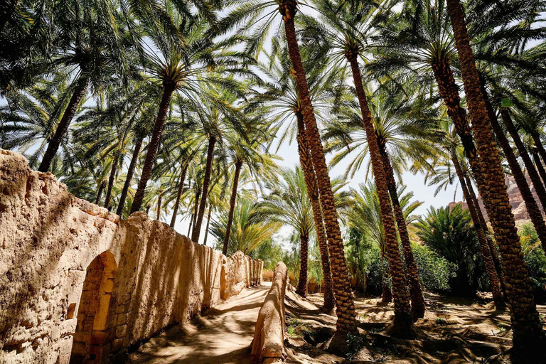 Oasis Adventure in Alula