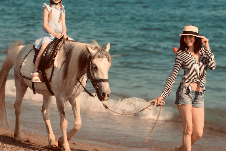 Side: Horseback Riding Adventure with Hotel Pickup