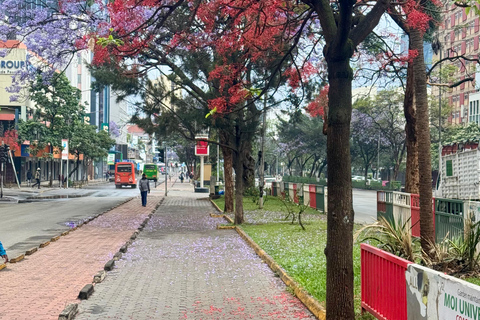 Nairobi: City view and cultural shopping experience