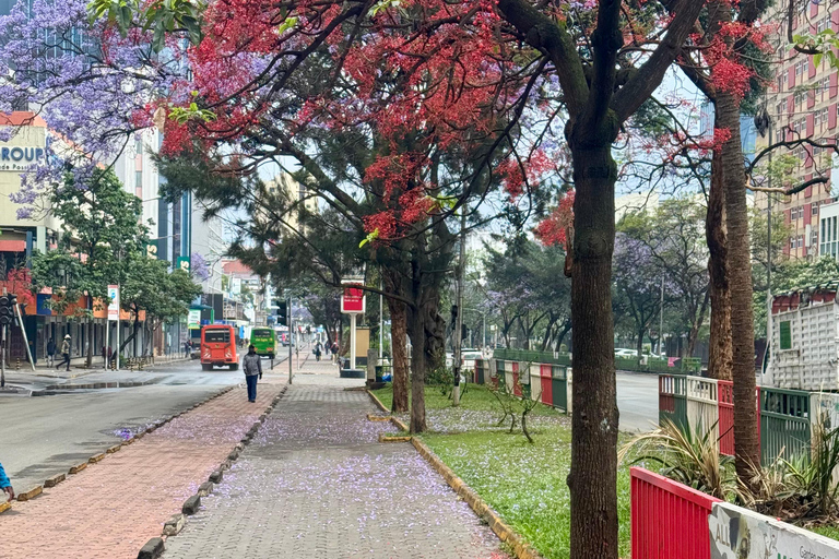 Nairobi: City view and cultural shopping experience