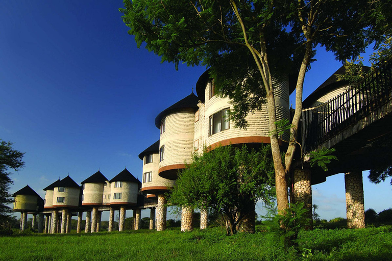 Nairobi: 3-Day Tsavo West Safari & Salt Lick Lodge Stay