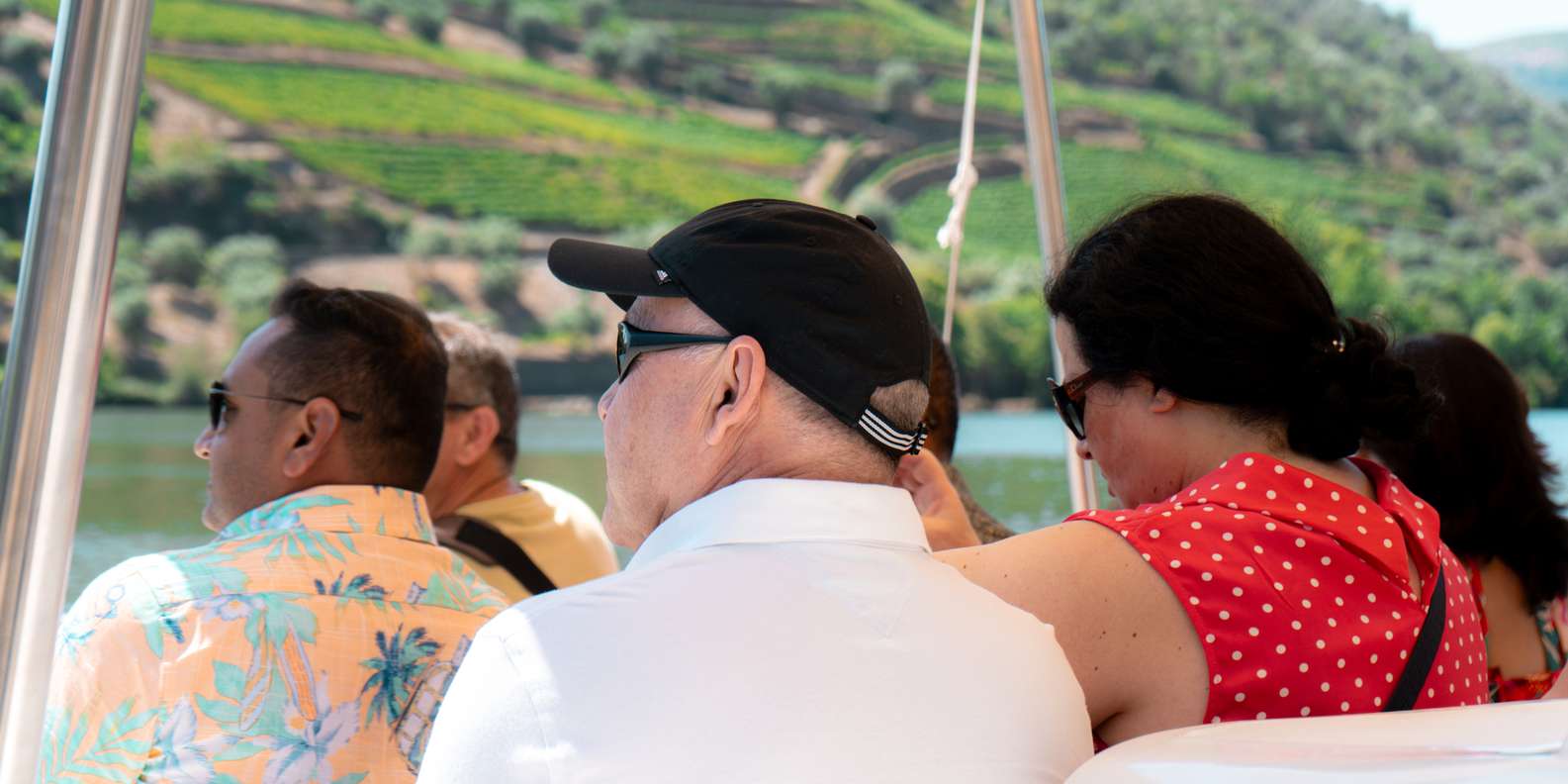 Porto: Douro Valley Tour with Lunch, Boat Cruise & Tastings — gallery image 4