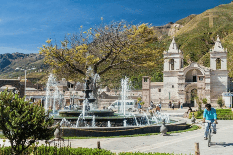 Desde Arequipa: Explora el Cañón del Colca 2D/1NDesde Arequipa: Explora el Cañón del Colca en un 2D/1N