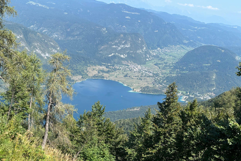 Ljubljana - Lake Bohinj and Vogel Mountain Excursion