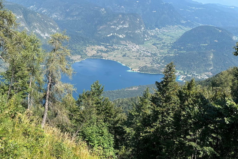 Ljubljana - Lake Bohinj and Vogel Mountain Excursion