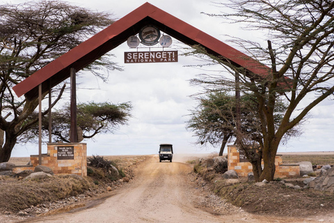 Luxury Safari Manyara, Serengeti & Ngorongoro.