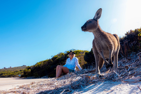 Från Perth: Margaret River till Esperance 6-dagarsturFrån Perth: Margaret River till Esperance 6-dagars tur från Perth