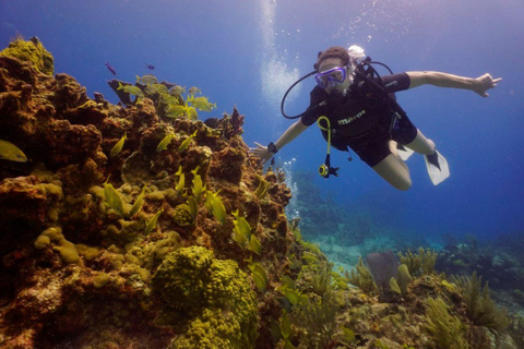 Desde Cancún: Experiencia de Buceo en el Cenote Chikin HaBuceo en el cenote Chikin Ha