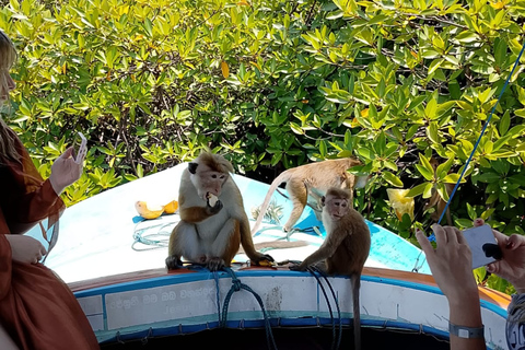 Hamilton Canal Boat Sapari & Negombo Mangrove Sightseeing