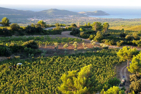 Full-Day Excursion: Aix, Wine Tastings & Cassis Coves Full-Day Excursion: Aix-en-Provence, Wine Tastings & Cassis Coves