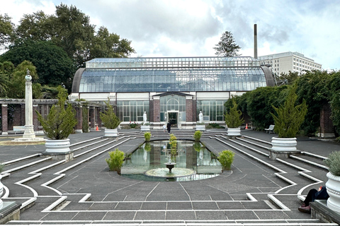 Tour di mezza giornata dei luoghi più interessanti della città di Auckland (tour per piccoli gruppi)