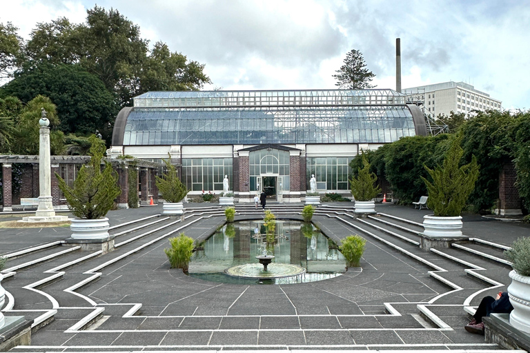 Tour di mezza giornata dei luoghi più interessanti della città di Auckland (tour per piccoli gruppi)