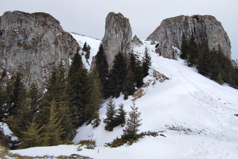 1 day hike to the Piatra Mare massif