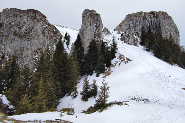 1 day hike to the Piatra Mare massif