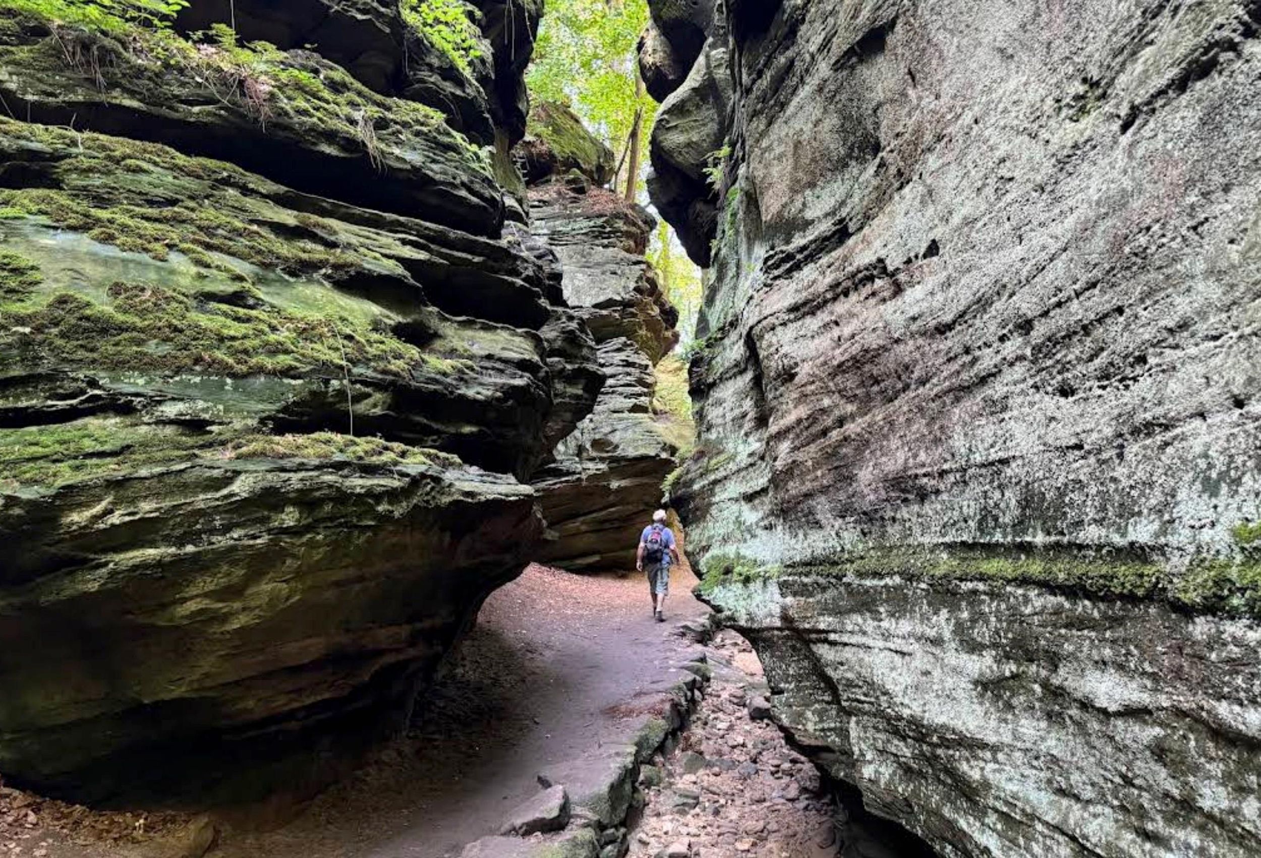 Müllerthal & Wolfsklamm: Felsenwanderung mit Champagner auf der Klippe