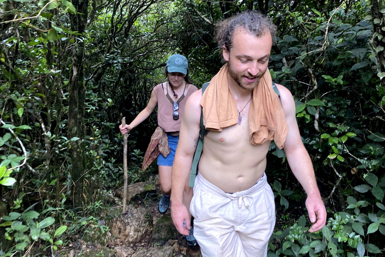 Tedo 7 Waterfalls Peak Adventure – Knuckles Mountain Range