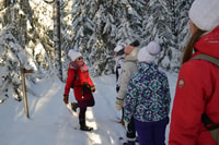 Desde Tallinn, excursión guiada de senderismo Bog-Shoe - Hizvo