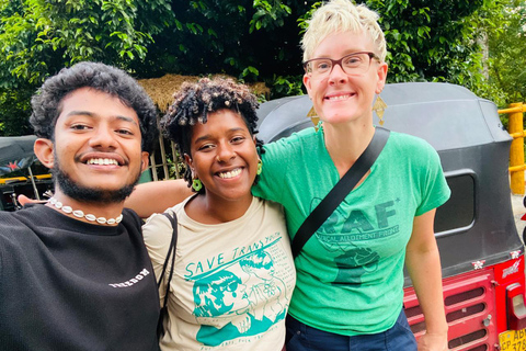 Kandy: Private Tuk Tuk Tour with Tea Tasting & Village Visit