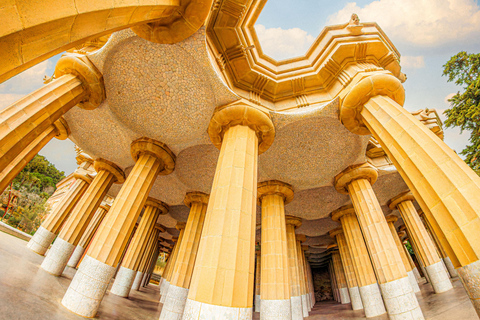 Barcelona: Tour guiado del Park Güell con ticket de entrada rápidaTour guiado del Park Güell en inglés